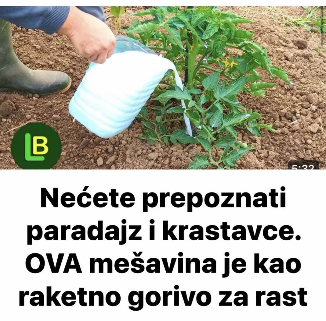 493311934_1032364275691441_3767949046908417188_n