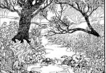 Mnogi su probali, ali nisu uspeli: Svako ko pronađe ženu na fotografiji ima natprosečnu inteligenciju