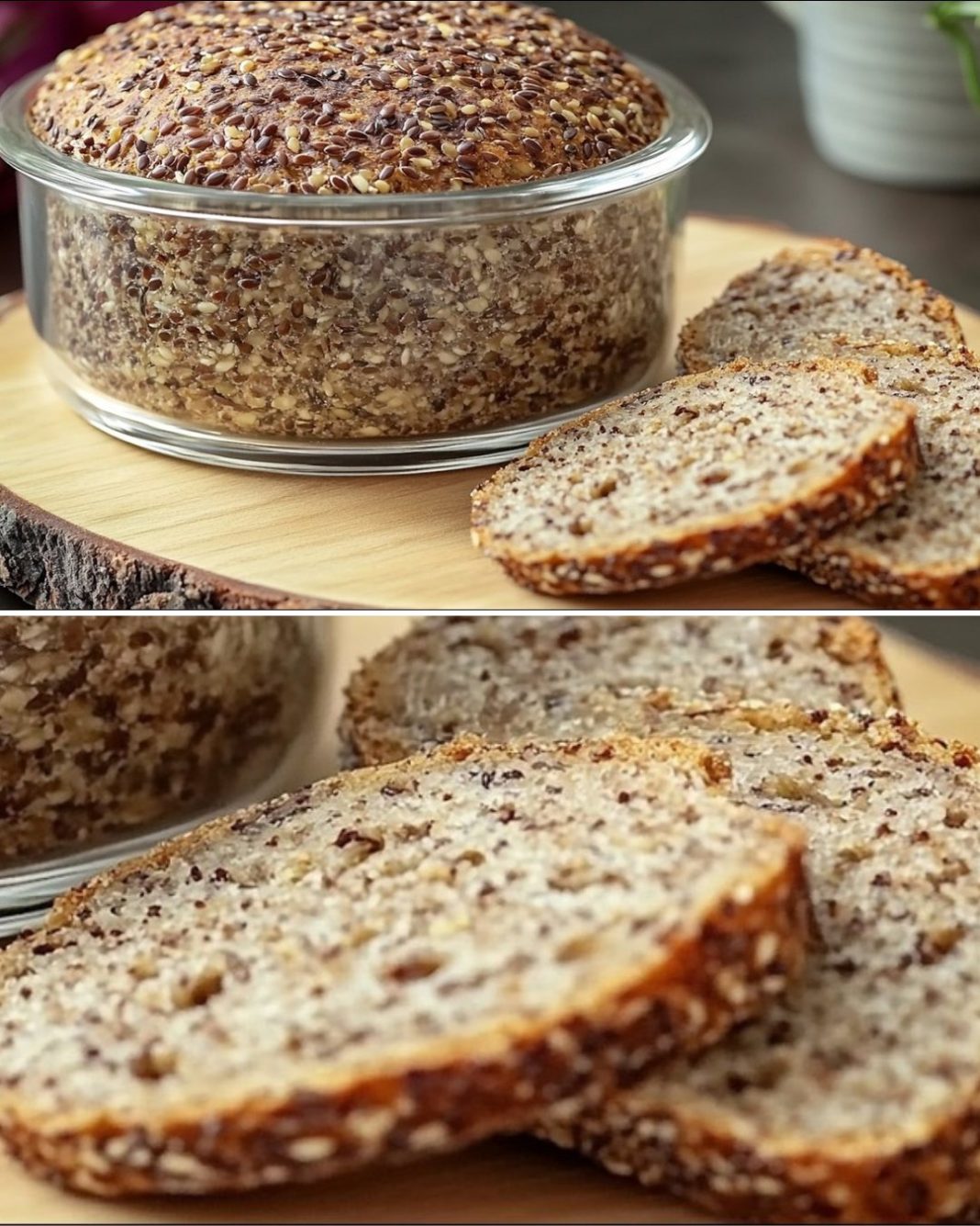 495733828_1272008444485869_4127128040847946008_n