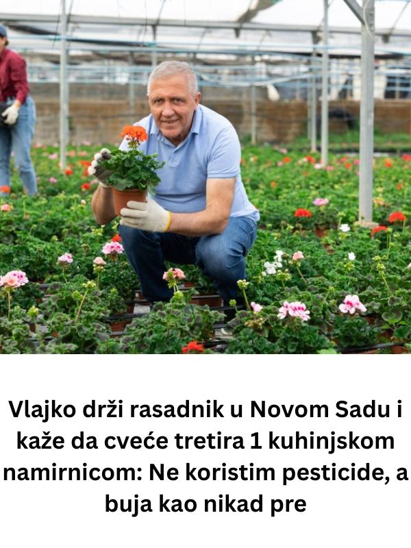 499206544_1039079168353285_6340150984281192329_n