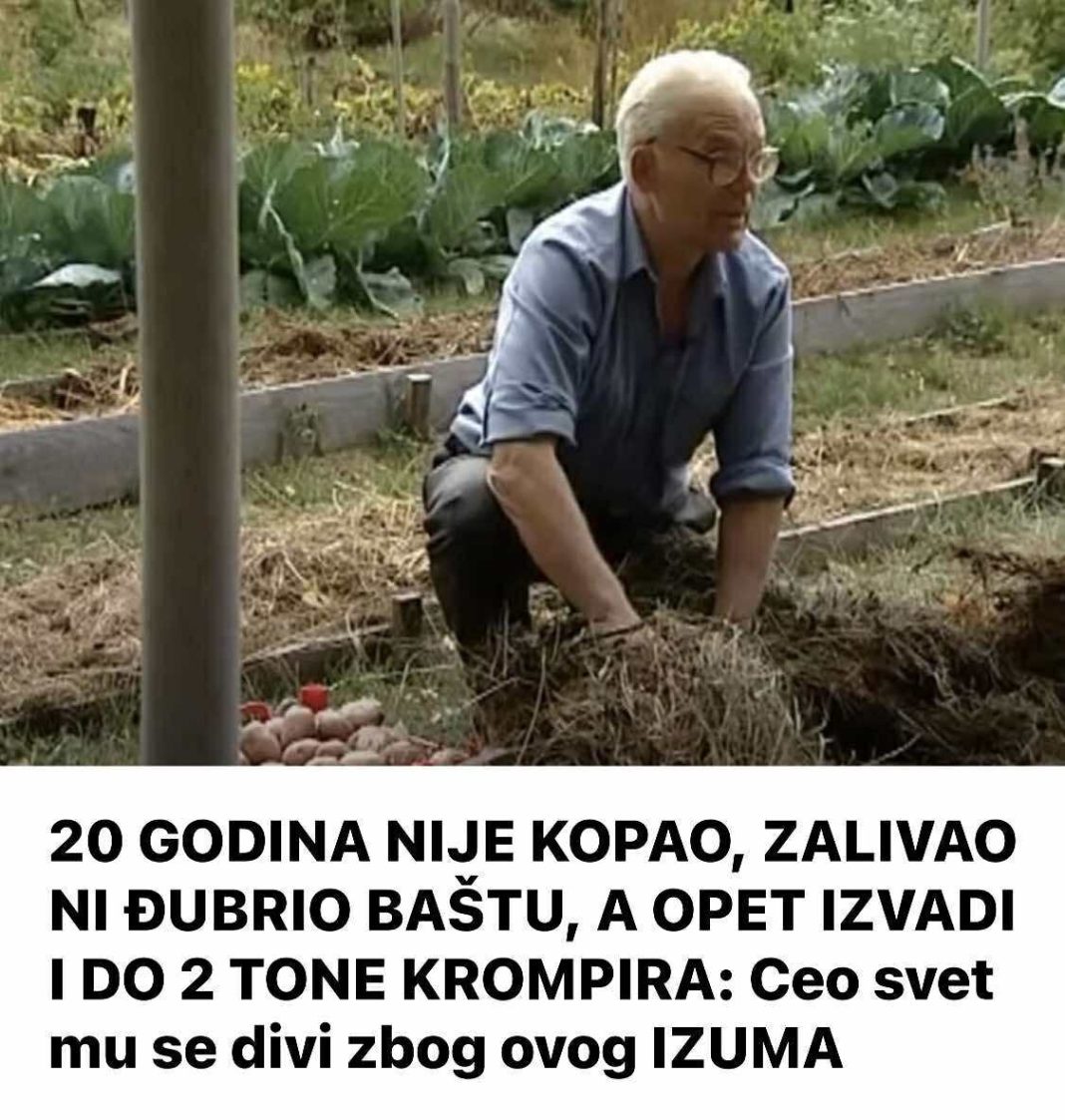 504251786_1039548824972986_6176722130838309941_n