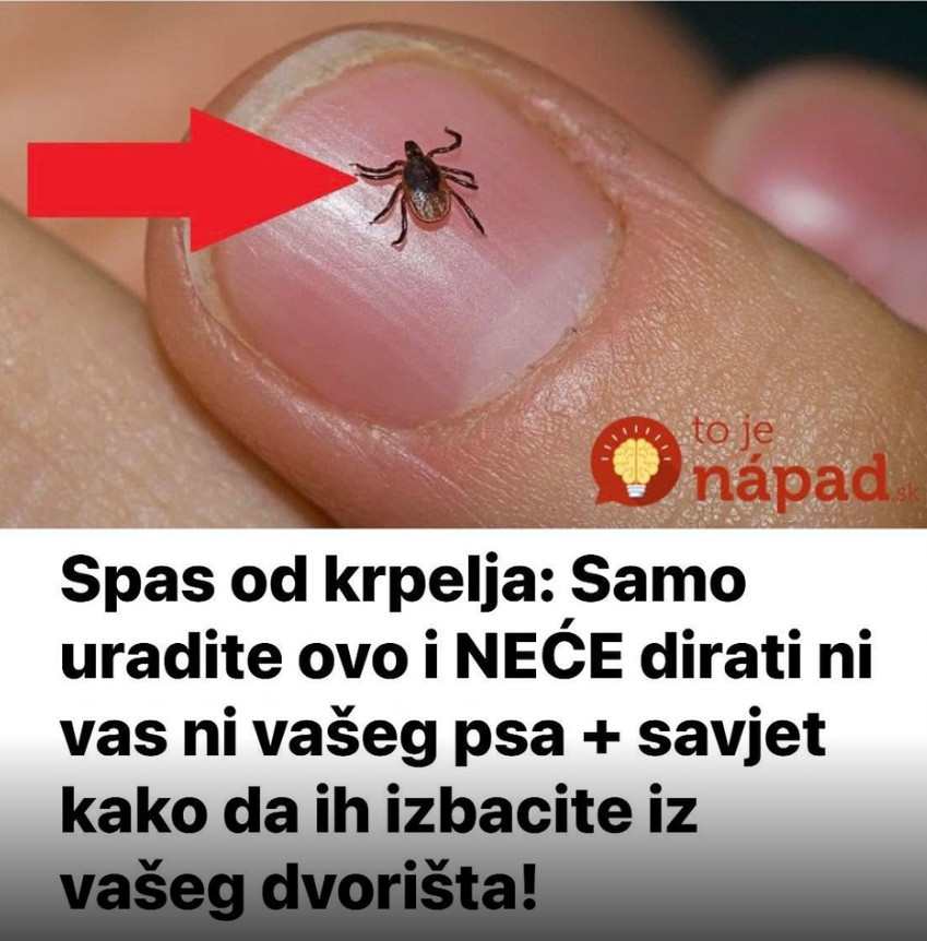 Screenshot-2025-05-07-121851