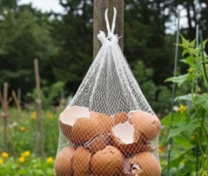 Screenshot-2025-06-07-184913