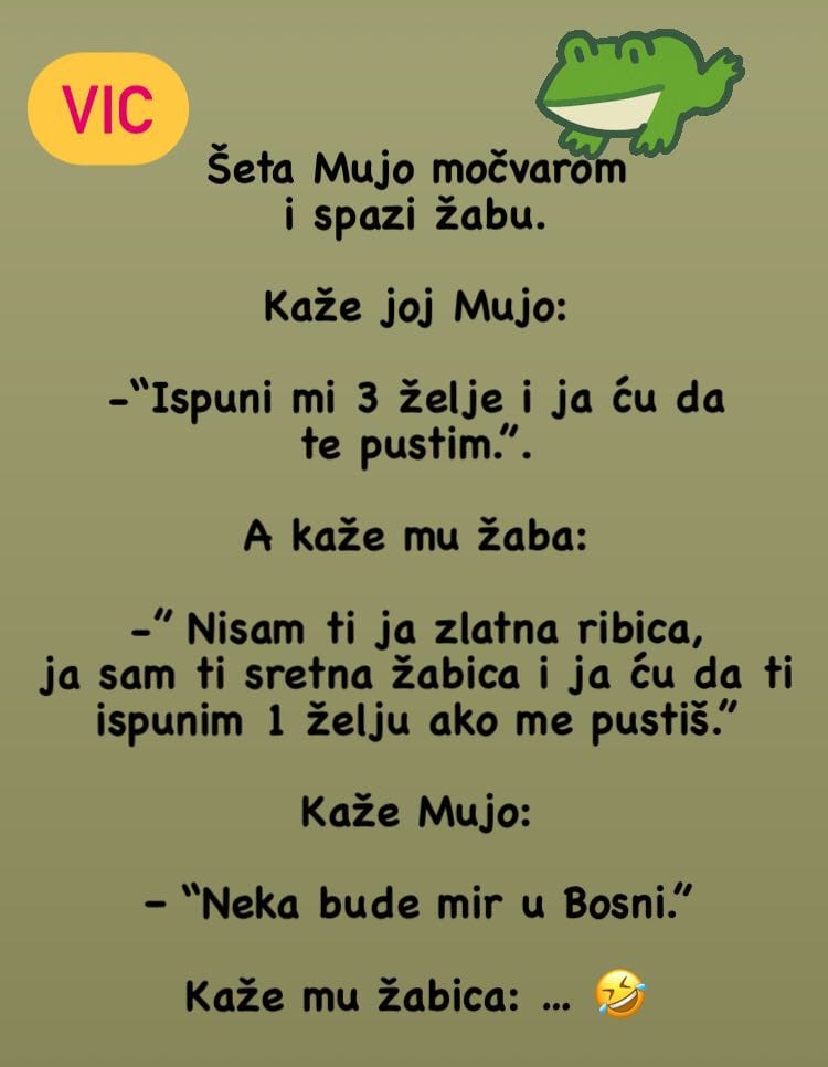 VIC: MUJO I ŽABICA - featured image