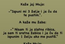 VIC: MUJO I ŽABICA - featured image