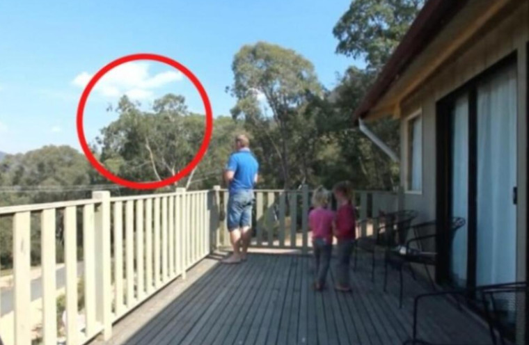 UHVAĆEN JE SA ĆERKAMA NA BALKONU, MAJKA ODMAH IZLETJELA: Vrištali su dok su to radili…. (VIDEO) - featured image UHVAĆEN JE SA ĆERKAMA NA BALKONU, MAJKA ODMAH IZLETJELA: Vrištali su dok su to radili…. (VIDEO) - featured image