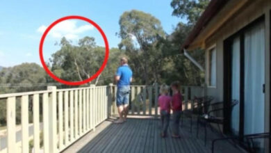 UHVAĆEN JE SA ĆERKAMA NA BALKONU, MAJKA ODMAH IZLETJELA: Vrištali su dok su to radili…. (VIDEO) - featured image