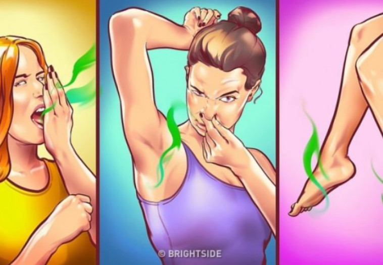 VAŠE TIJELO SMRDI JER NE JEDETE OVIH 8 NAMIRNICA: Ako ovo budete jeli, MIRISAT ĆETE KAO RUŽA - featured image VAŠE TIJELO SMRDI JER NE JEDETE OVIH 8 NAMIRNICA: Ako ovo budete jeli, MIRISAT ĆETE KAO RUŽA - featured image