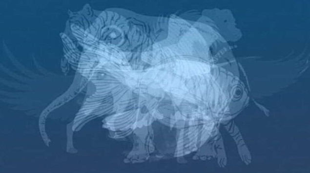 Životinja koju prvu vidite na slici otkrit će do gole kože vaš karakter: Jeste li spremni? - featured image