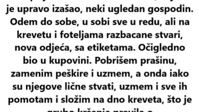 ZAPOSLILA SAM SE U HOTELU KAO SOBARICA, PRIJE PAR DANA MI JE… - featured image