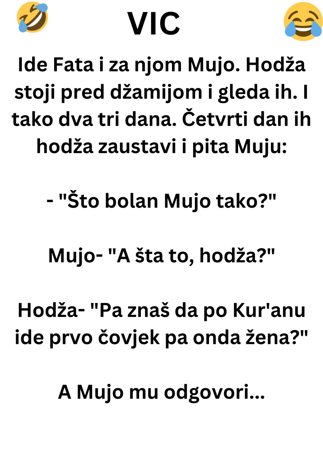 VIC DANA: Ide Fata i za njom Mujo - featured image