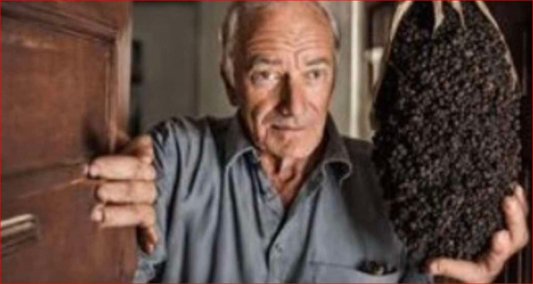 Kada posipate papar ispred svojih vrata, biti ćete mi zauvijek zahvalni! - featured image