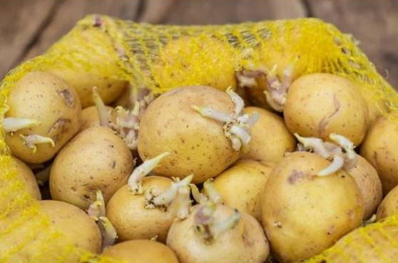 SAMO 1kap i odvod se nikad ne začepljuje niti smrdi - featured image