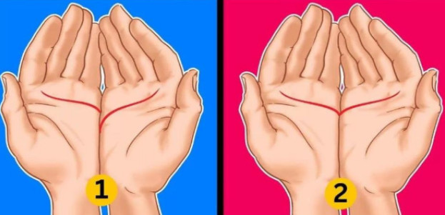 Linija srca otkriva vaše skrivene osobine: Dlanovi govore da li ste magnet za ljude ili odbijate i sami sebe - featured image