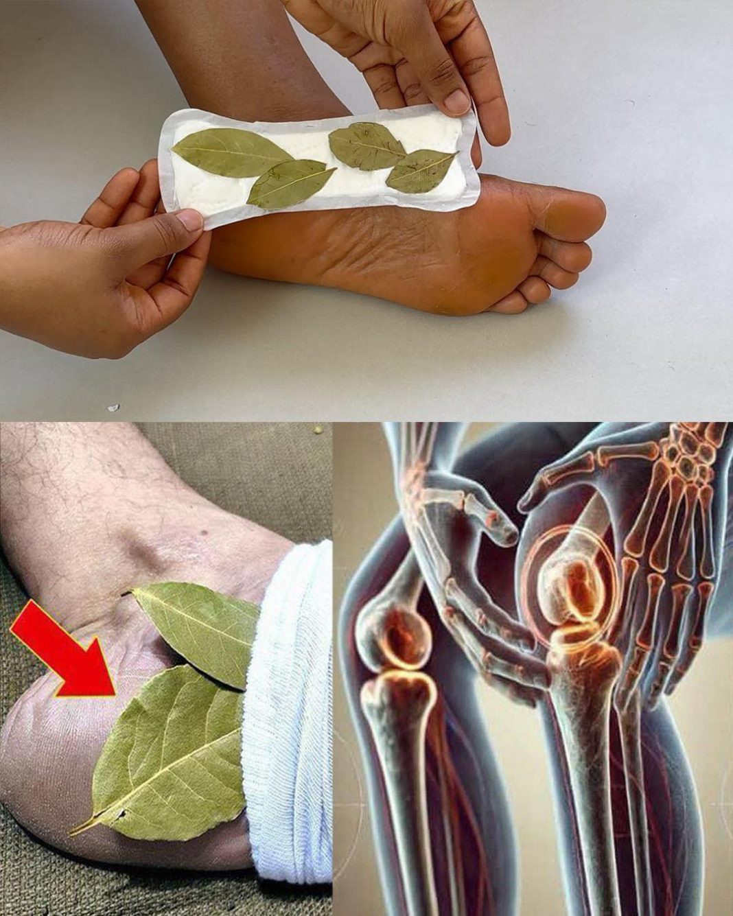 Stavi lovorov list na stopala i osjeti olakšanje bez odlaska u apoteku! - featured image