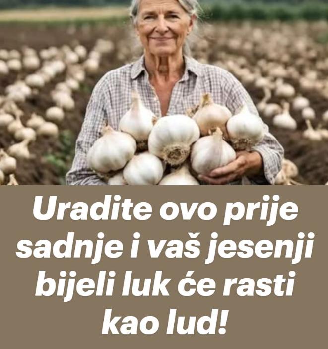 Uradite ovo prije sadnje i vaš jesenji bijeli luk će rasti kao lud! - featured image