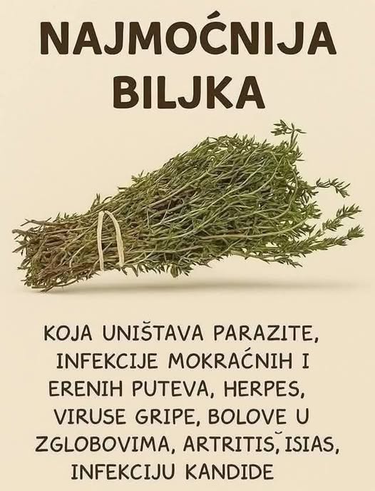 Najmoćnije bilje koje uništavaju parazite, infekcije urinarnog trakta I mjehura, herpesa I viruse gripe! - featured image