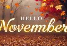 MAGIČAN NOVEMBAR ZA OVE ZNAKOVE: Nebo im otvara vrata ljubavi, sreće i novca!