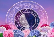 Do kraja 2025. godine OVI znaci će moći da kažu ZBOGOM PROBLEMIMA i započeće MNOGO BOLJI ŽIVOT!