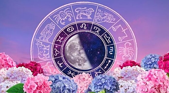 Do kraja 2025. godine OVI znaci će moći da kažu ZBOGOM PROBLEMIMA i započeće MNOGO BOLJI ŽIVOT!