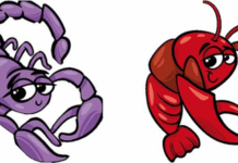 RAK i ŠKORPIJA – Saznajte šta vas očekuje do 1. decembra?!