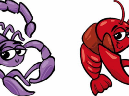 RAK i ŠKORPIJA – Saznajte šta vas očekuje do 1. decembra?!