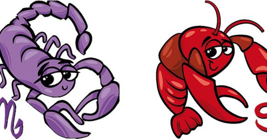 NOVEMBAR - 2025-11-19T203236.634