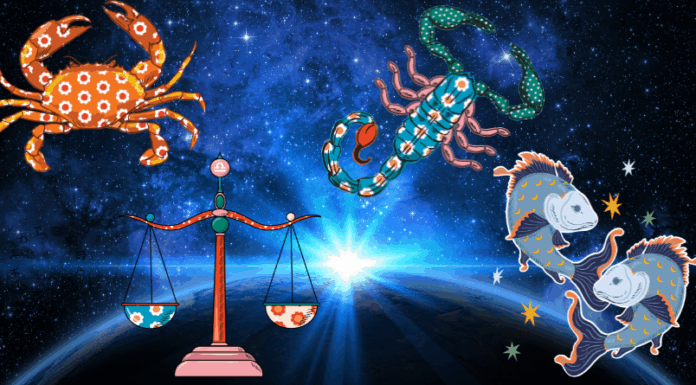 DO 15. NOVEMBRA RAKA, VAGU, ŠKORPIJU I RIBE ČEKA TALAS PROMENA: Ljubav, istina i sudbina dolaze u isto vreme – ništa više neće biti isto!
