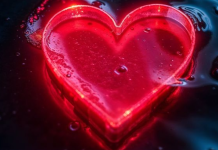 LJUBAV EKSPLODIRA 17. FEBRUARA: Sudbinski susreti, tajne poruke i noć kada se srca odlučuju na sve!