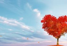 BIVŠA LJUBAV IDE NA SVE ILI NIŠTA: OVIM znacima stiže pravi haos, jer osoba iz prošlosti ne želi odustati!