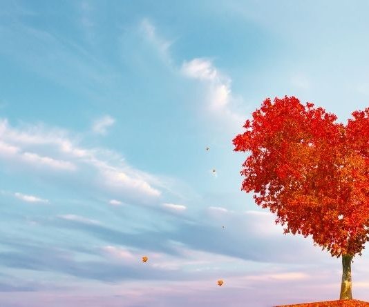 BIVŠA LJUBAV IDE NA SVE ILI NIŠTA: OVIM znacima stiže pravi haos, jer osoba iz prošlosti ne želi odustati!