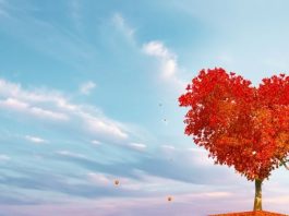 GORKE SUZE I ISKRENA IZVINJENJA: OVE znakove bivši partner želi nazad i ne želi odustati od njih!