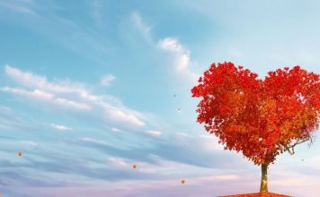 GORKE SUZE I ISKRENA IZVINJENJA: OVE znakove bivši partner želi nazad i ne želi odustati od njih!