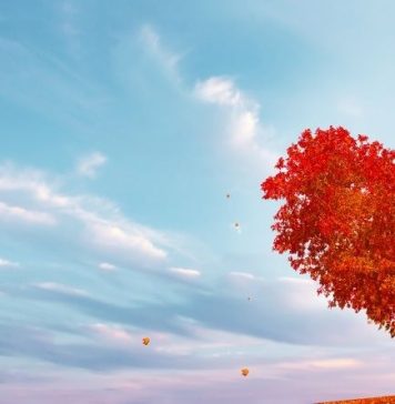 GORKE SUZE I ISKRENA IZVINJENJA: OVE znakove bivši partner želi nazad i ne želi odustati od njih!