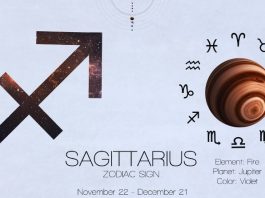 STRELAC – DETALJNI CIGANSKI HOROSKOP DO 20. APRILA: Otkrivanje velikih tajni, istina koja menja sve, ali i nešto divno za kraj, evo šta vam sve stiže!