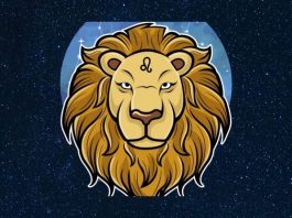 LAV – VELIKI DETALJNI VIKEND HOROSKOP: Šok za šokom, stvari koje su ZAPISANE dolaze i vi ne verujete svojim očima!